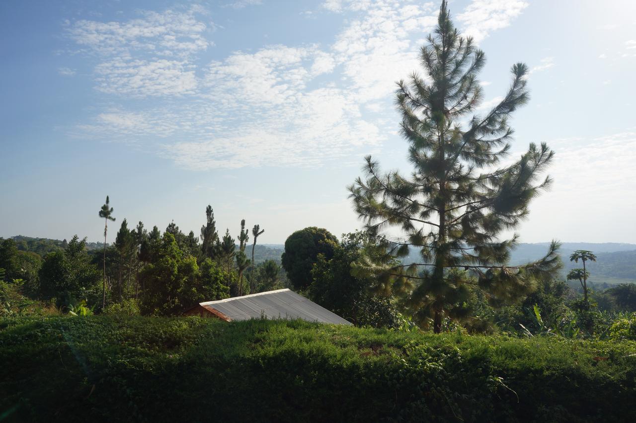 Masaka Backpackers, Tourists Cottage & Campsite Exterior foto